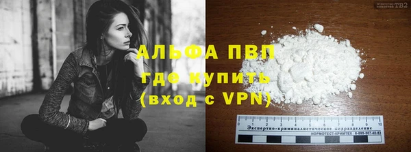 PSILOCYBIN Белокуриха