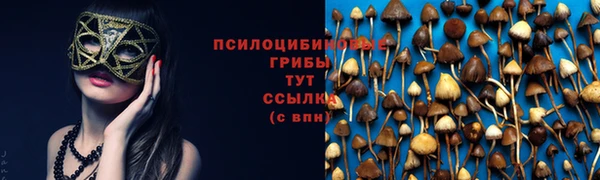 дмт Беломорск