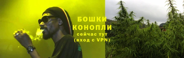 PSILOCYBIN Белокуриха
