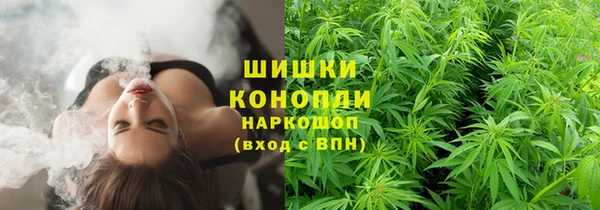 PSILOCYBIN Белокуриха
