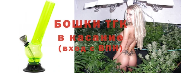 PSILOCYBIN Белокуриха